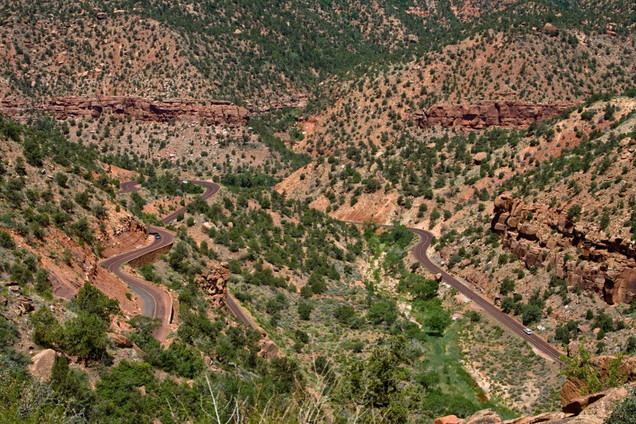 Die Straße durch den Zion NP
