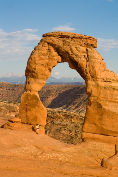 Das Kleine ist Petra