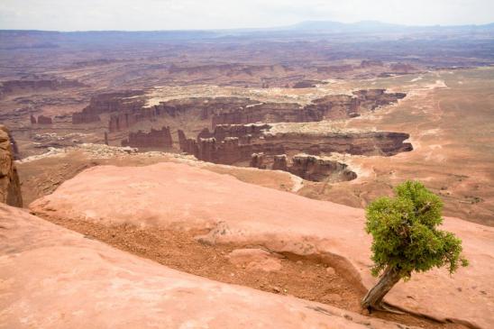 Am Grand View Point im Canyonlands NP