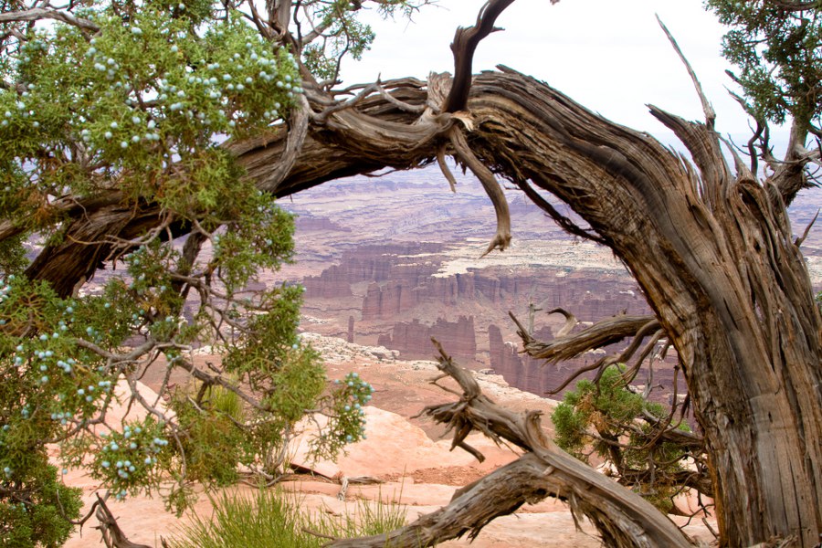 Am Grand View Point im Canyonlands NP