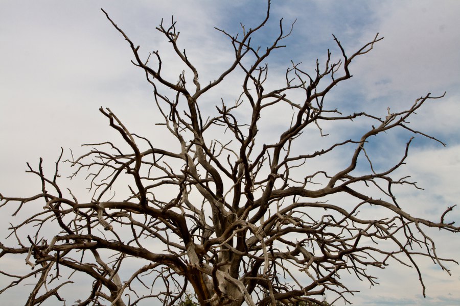 Am Grand View Point im Canyonlands NP