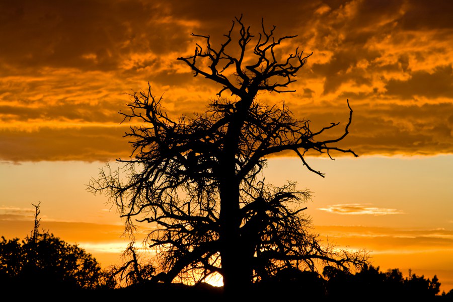 Sonnenuntergang im Dead Horse SP