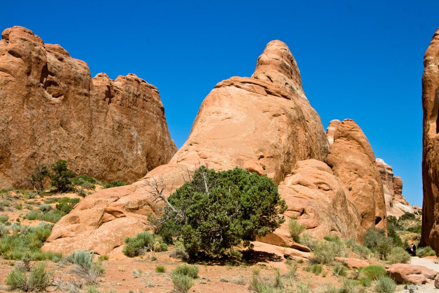 Auf zur Wanderung zum Landscape Arch
