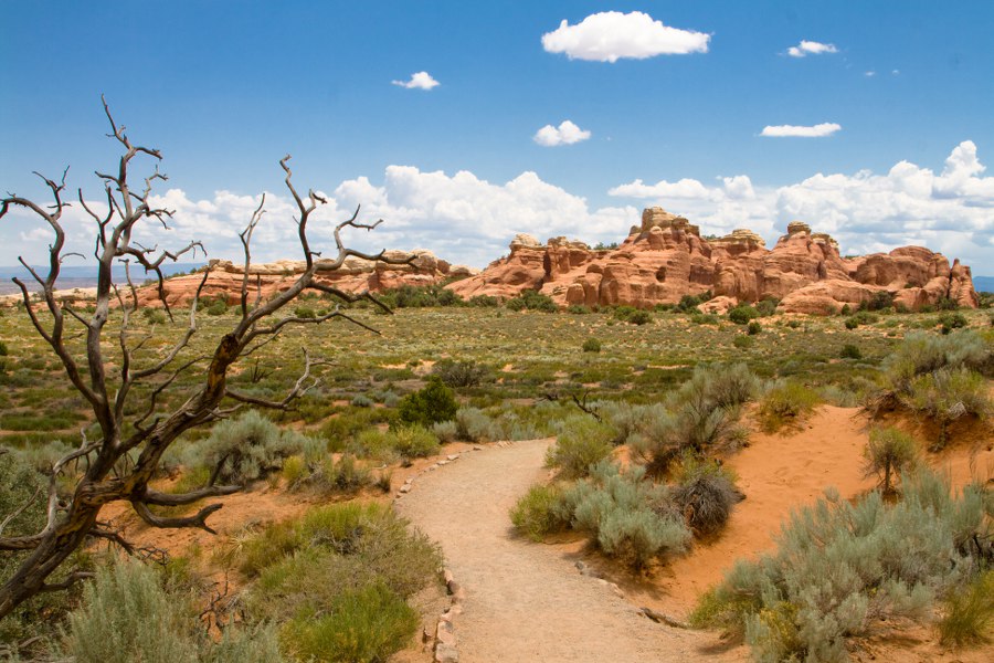 Wanderung zum Landscape Arch im Arches NP