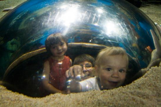 Im Denver Aquarium